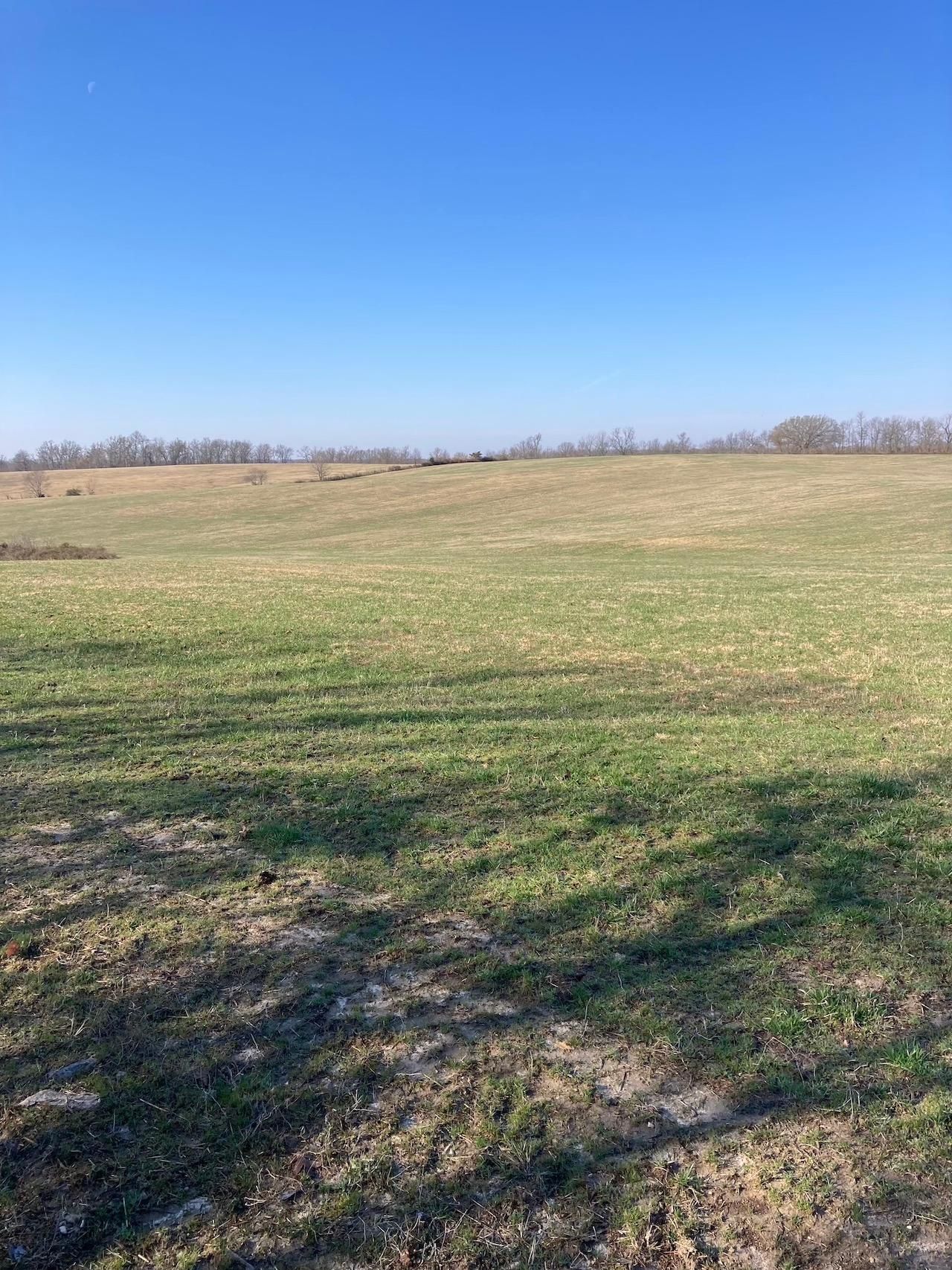 199 acres in Shannon County, Missouri