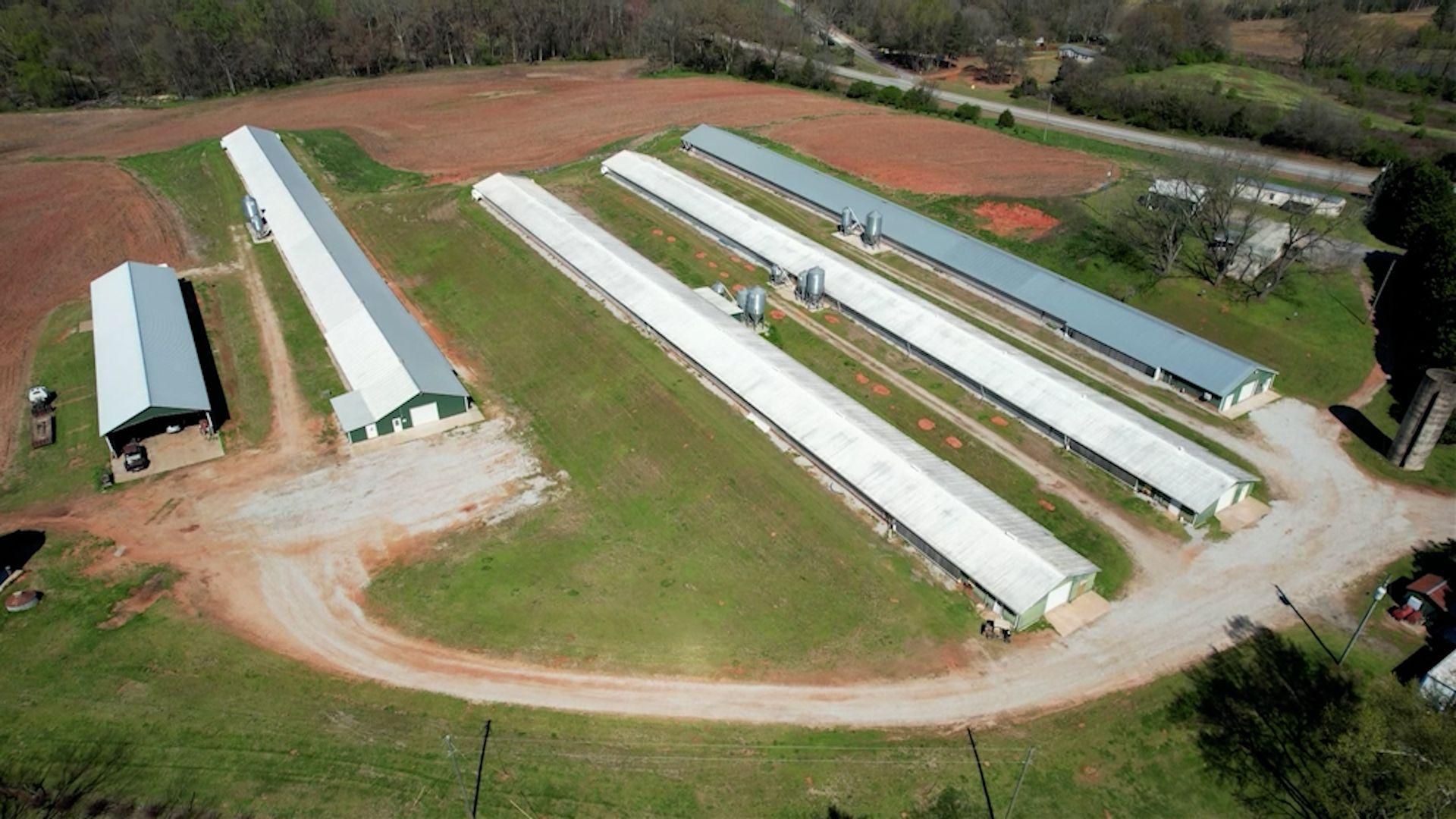 20 acres in Hart County,