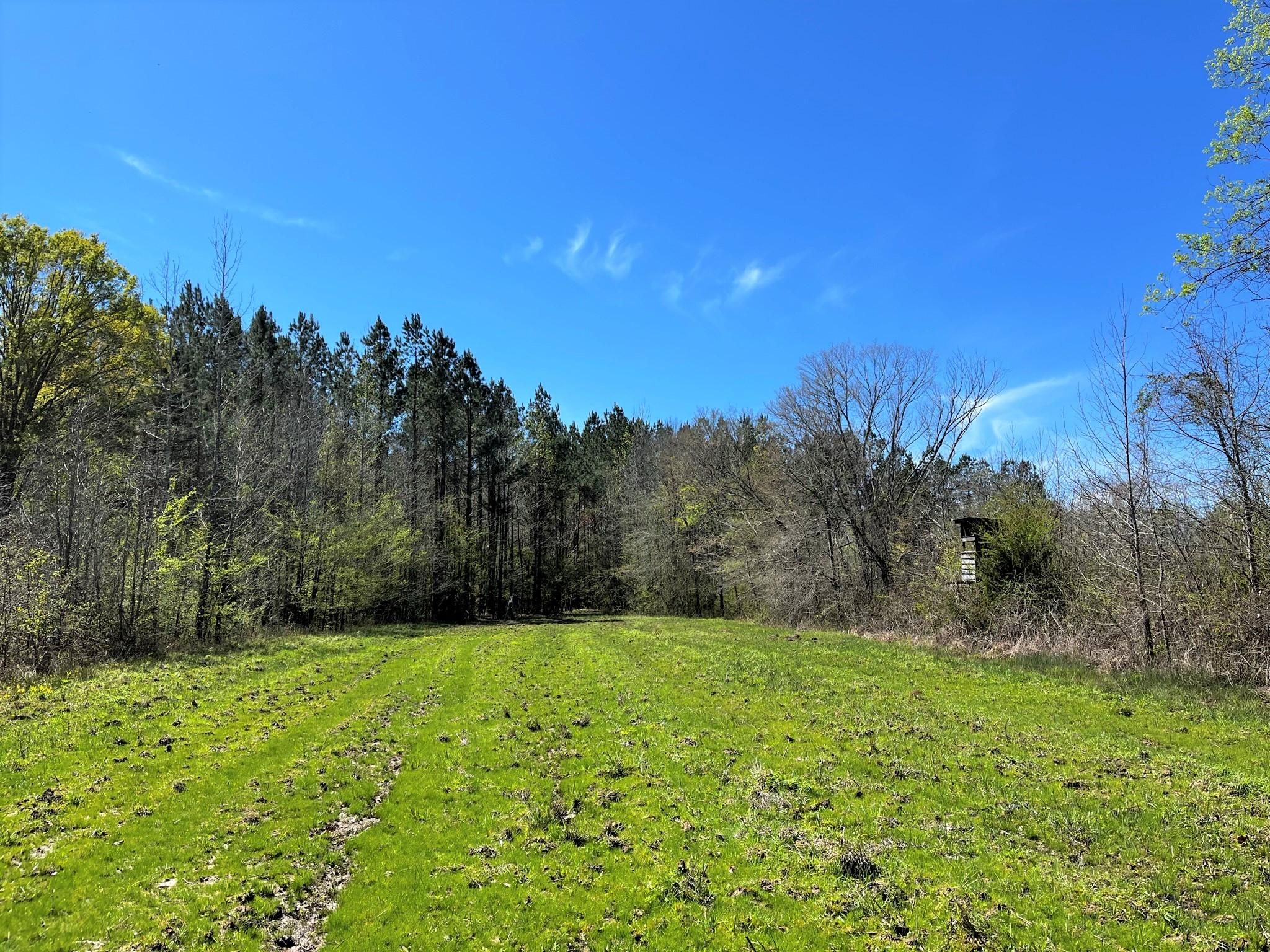 410 acres in Leake County, Mississippi