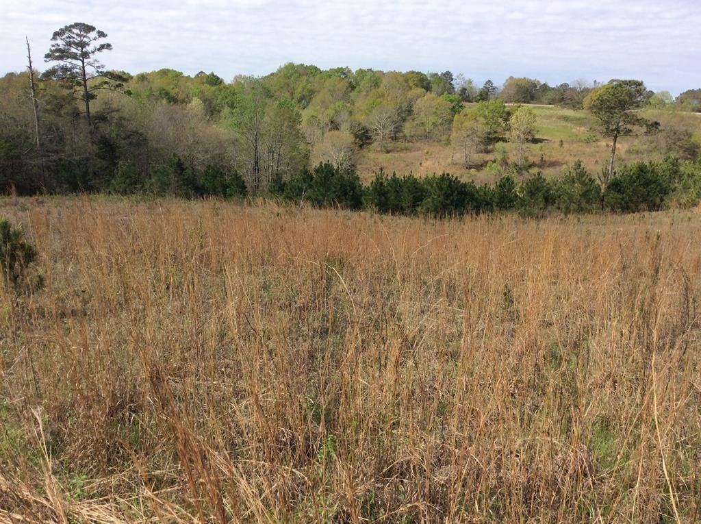 5 acres in Crenshaw County, Alabama