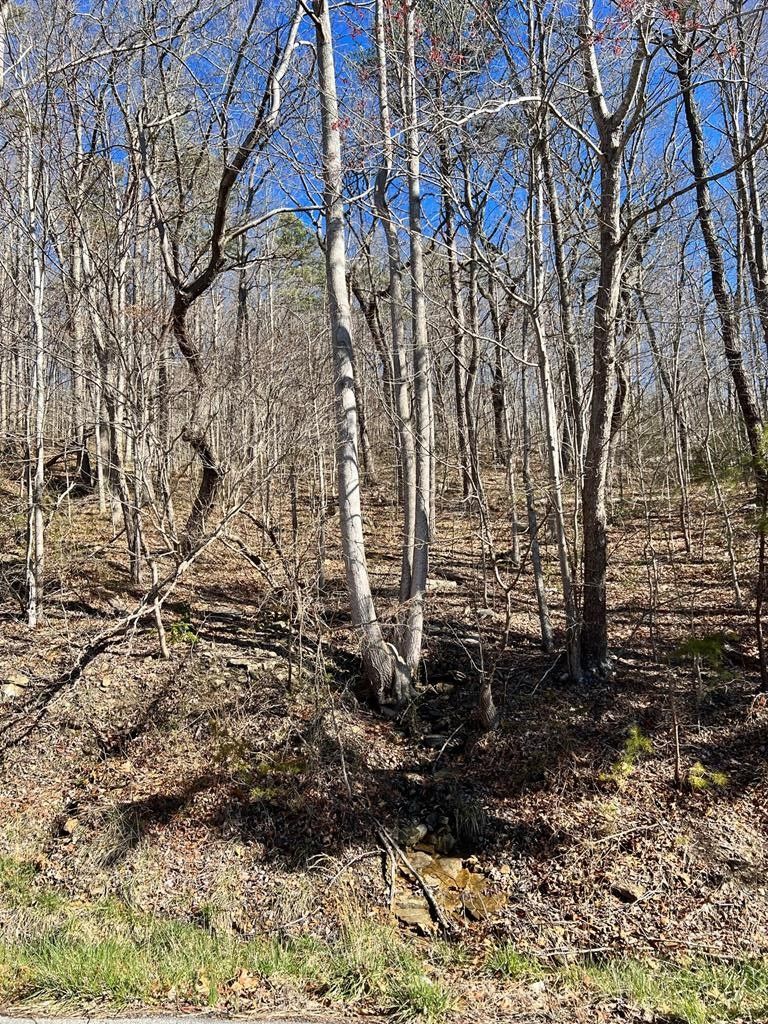 5 acres in Harlan County, Kentucky