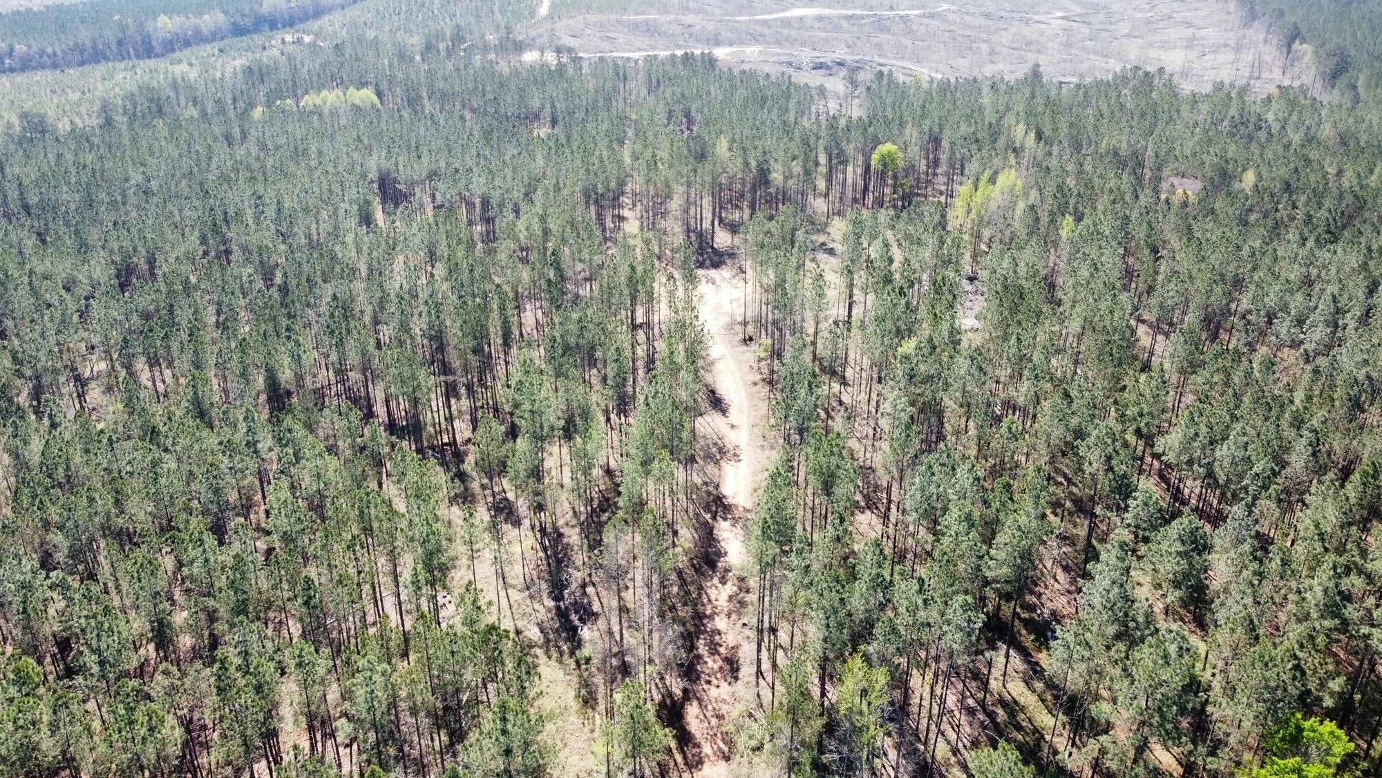 59 acres in Leake County, Mississippi