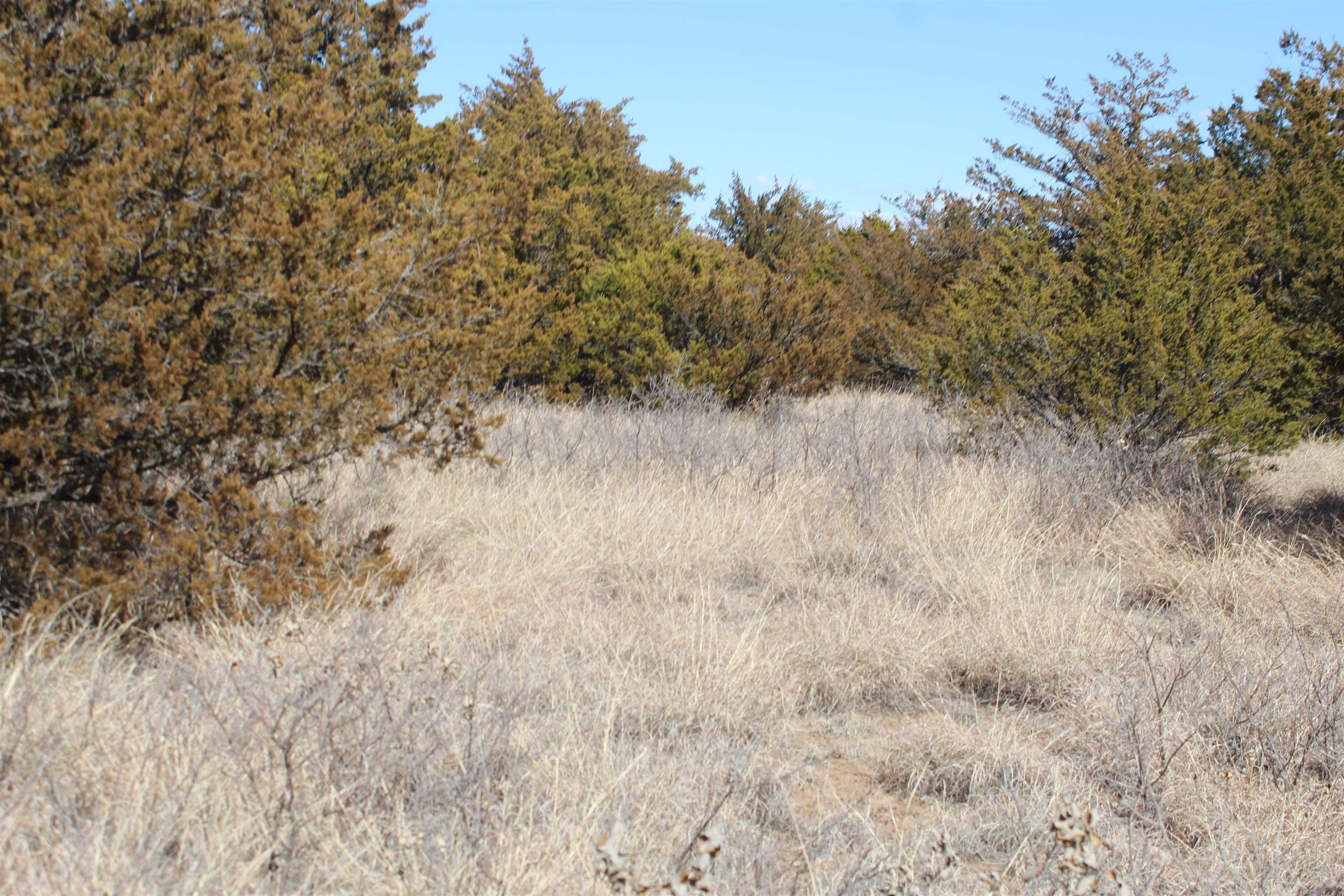 80 acres in Dewey County, Oklahoma