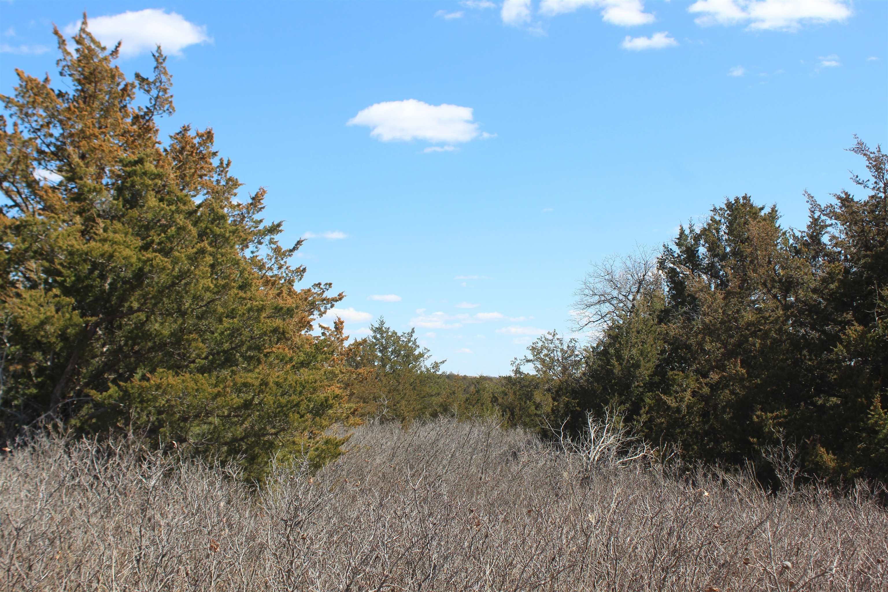 80 acres in Dewey County, Oklahoma