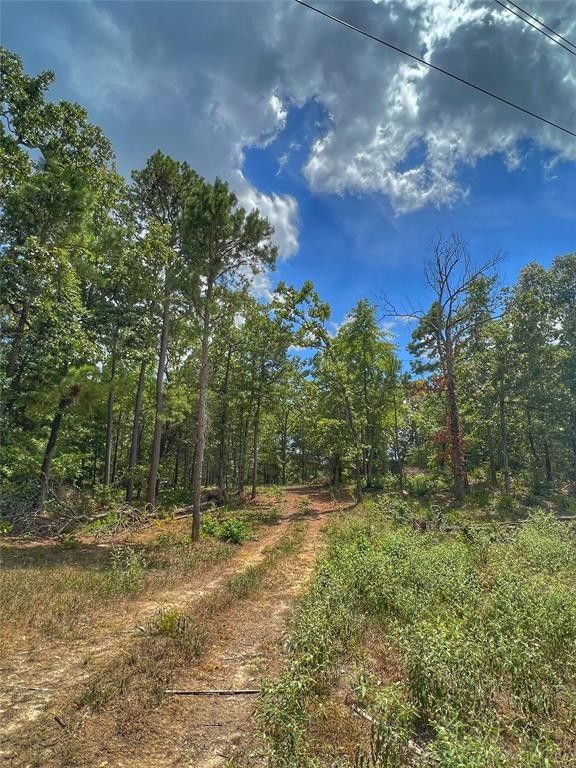 9.12 acres in Wood County, Texas