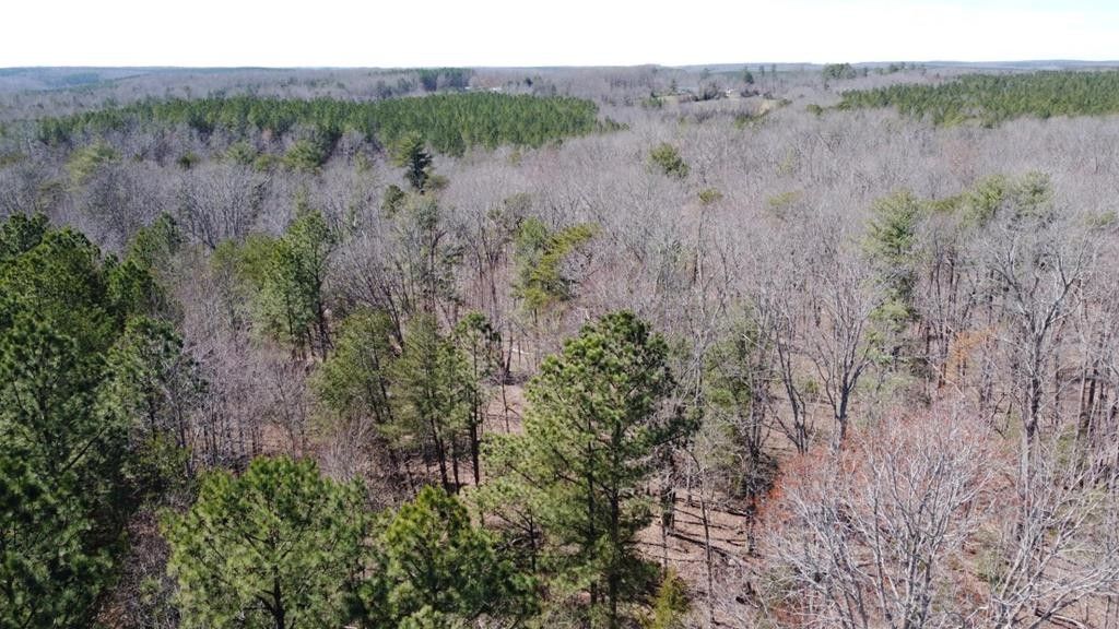 15 acres in Appomattox County, Virginia