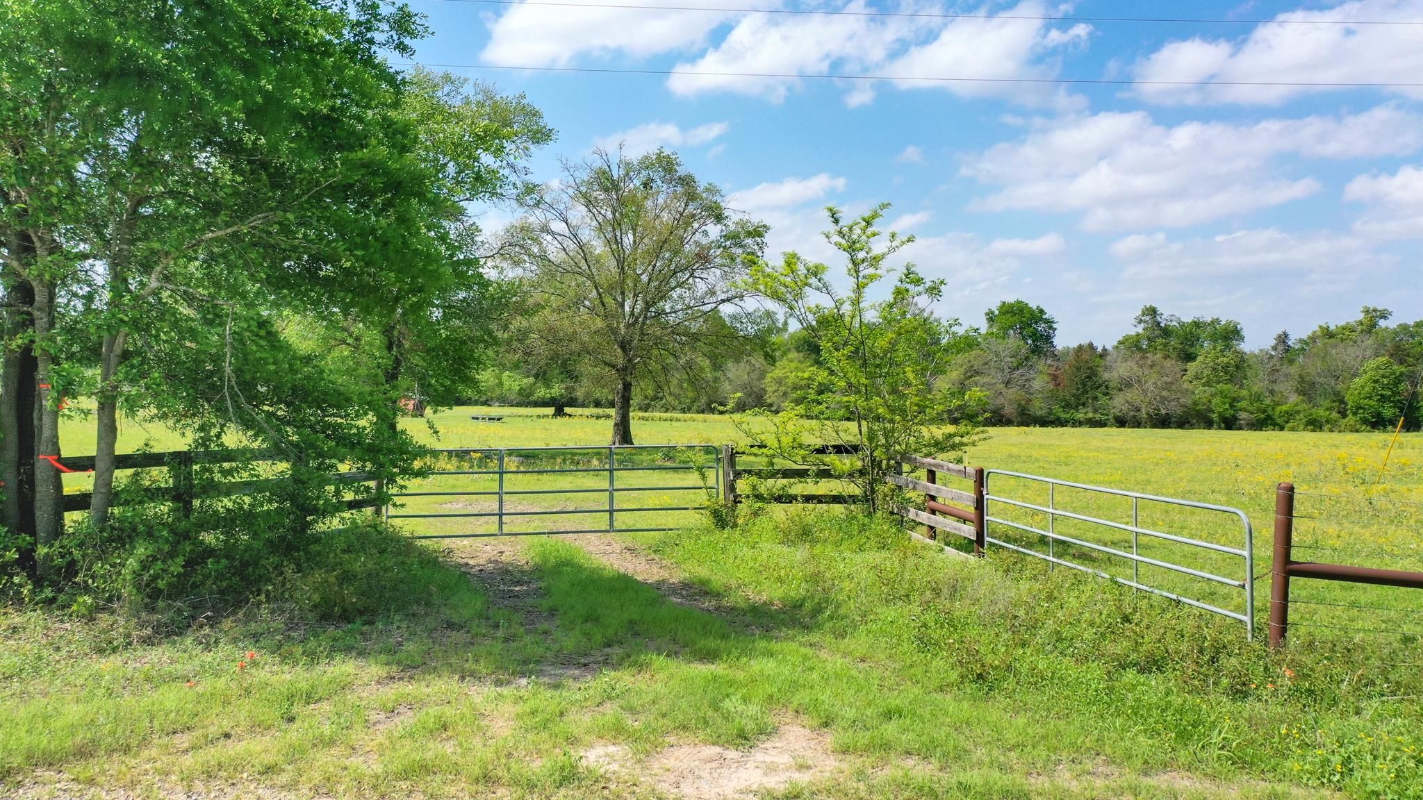 38 acres in Madison County, Texas