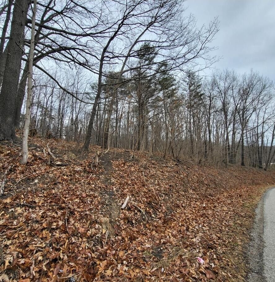 2 acres in Scioto County, Ohio