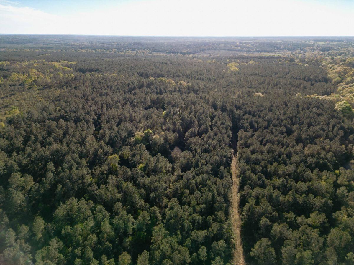 205 acres in Covington County, Mississippi