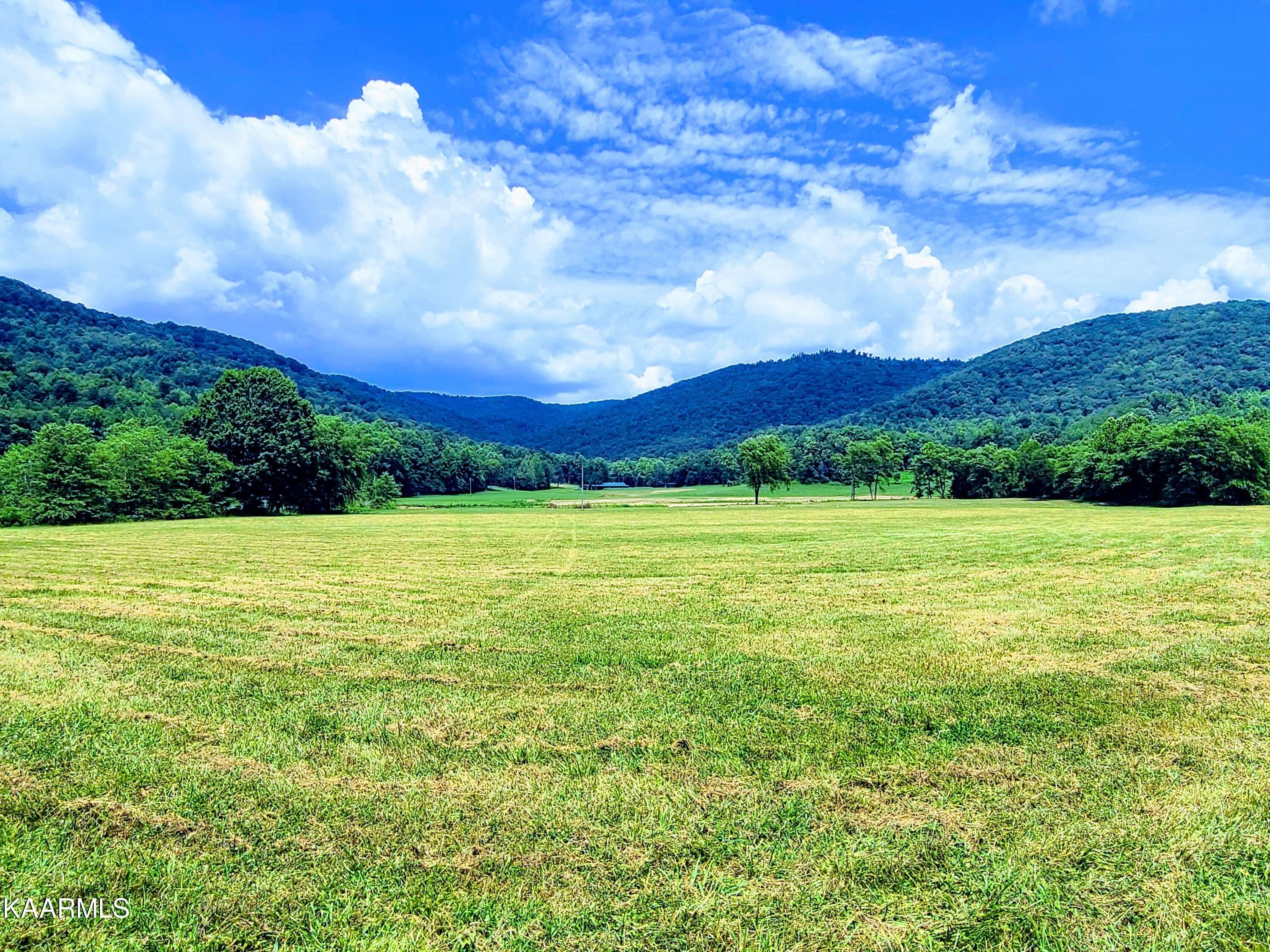 241 acres in Scott County, Tennessee