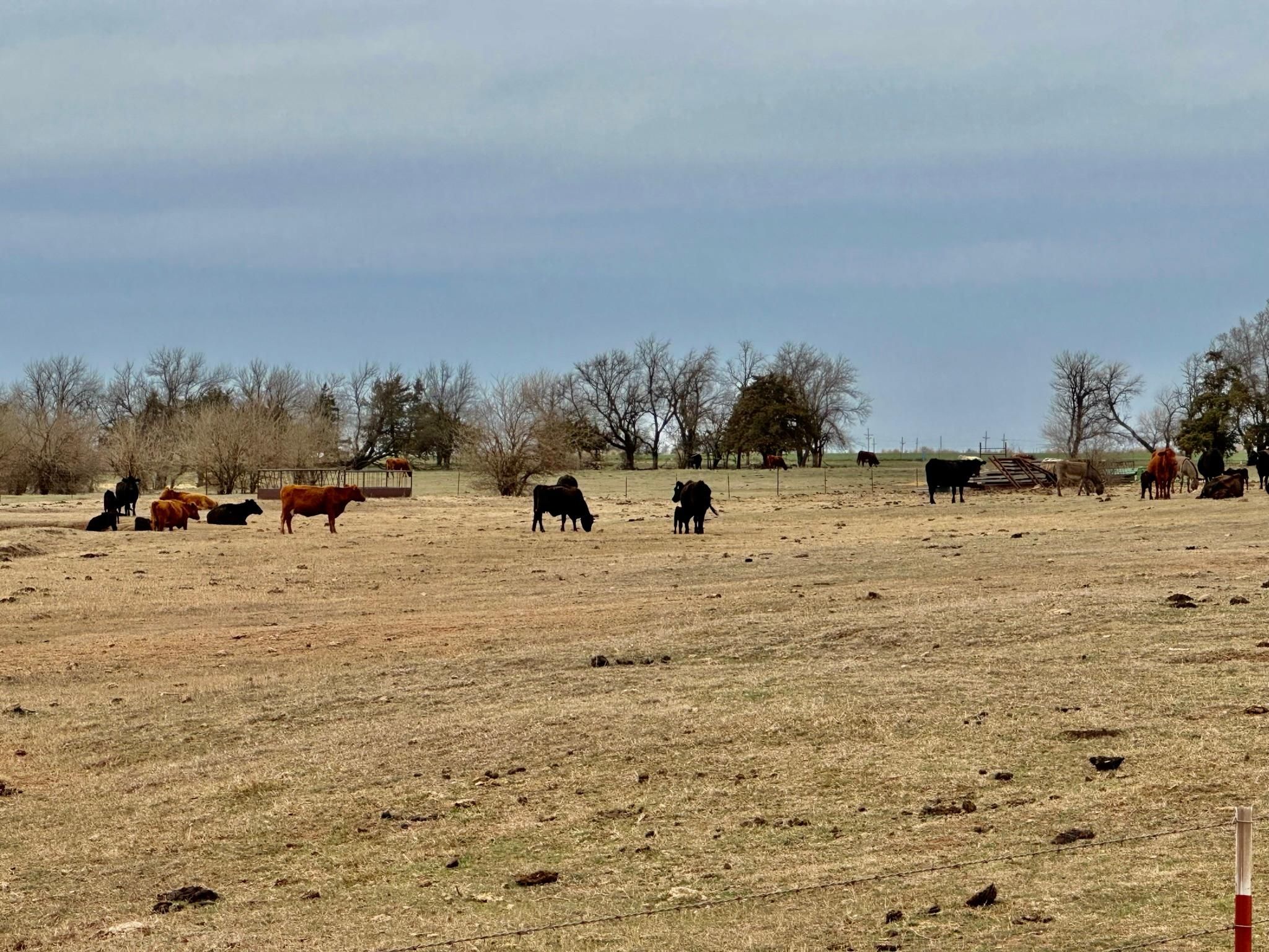 13 acres in Kingfisher County, Oklahoma