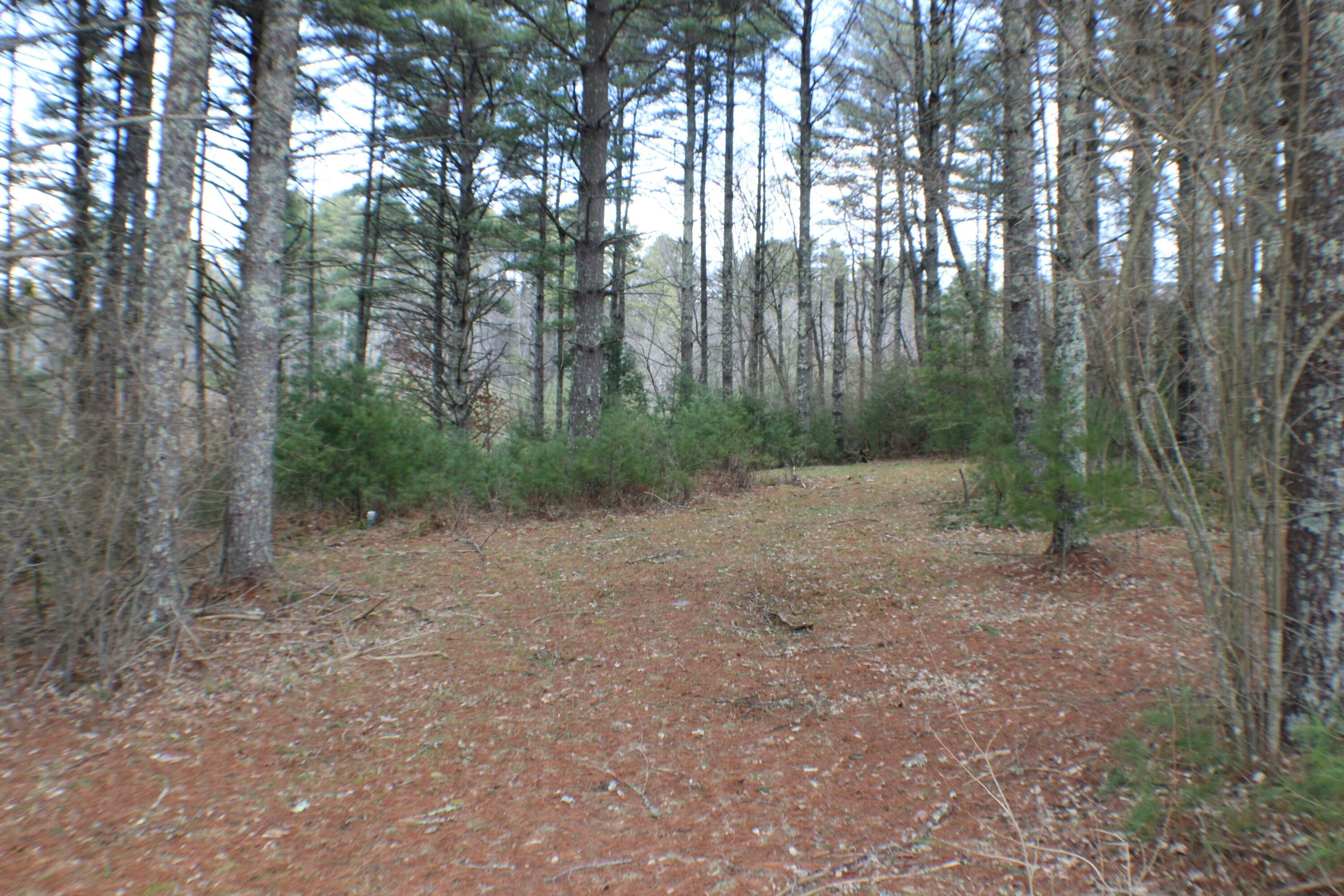 2 acres in Pocahontas County, West Virginia