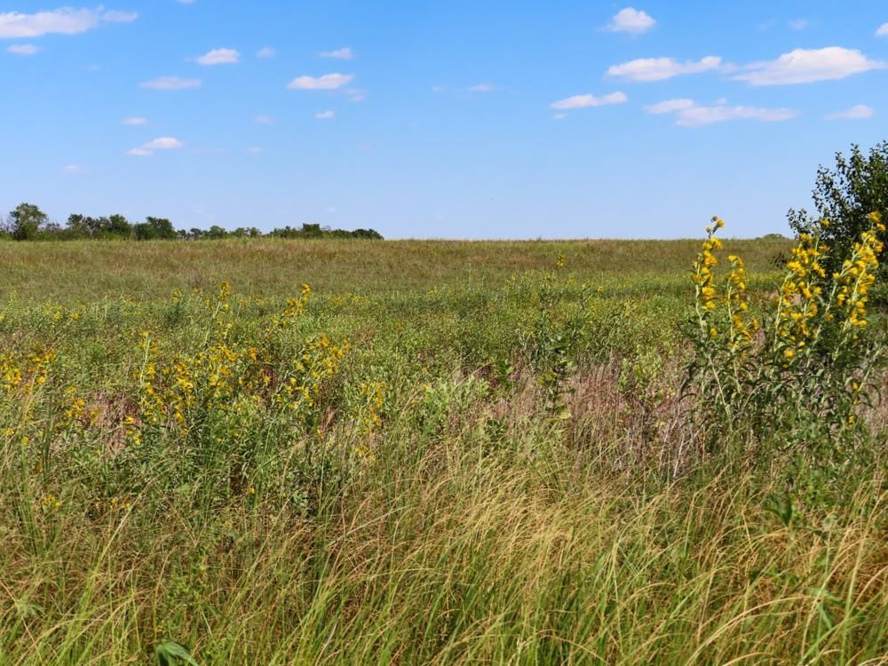 80 acres in Rice County, Kansas