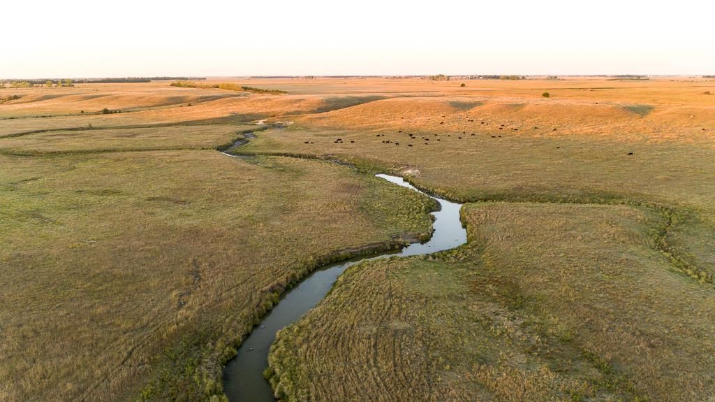 134 acres in Hanson County, South Dakota