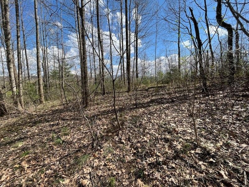 1 acres in Unicoi County, Tennessee