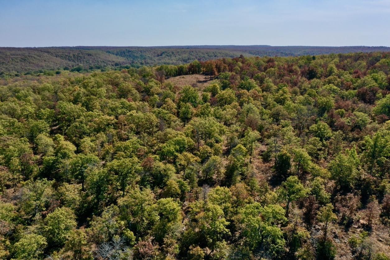 120 acres in Pittsburg County, Oklahoma