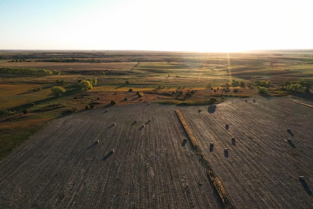 152 acres in Ellis County, Kansas