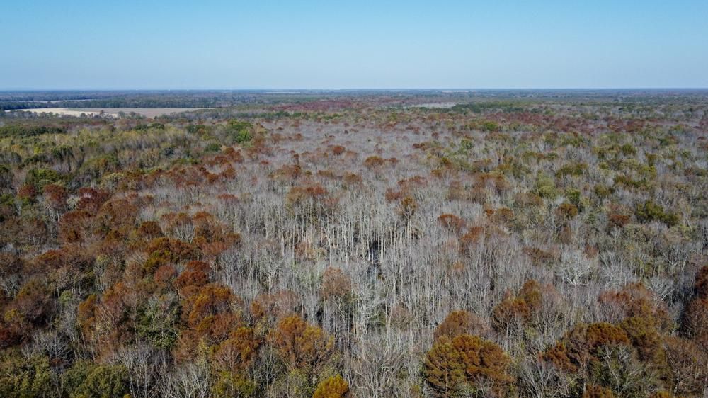 15 acres in Woodruff County, Arkansas