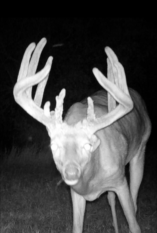 80 acres in Clay County, Kansas