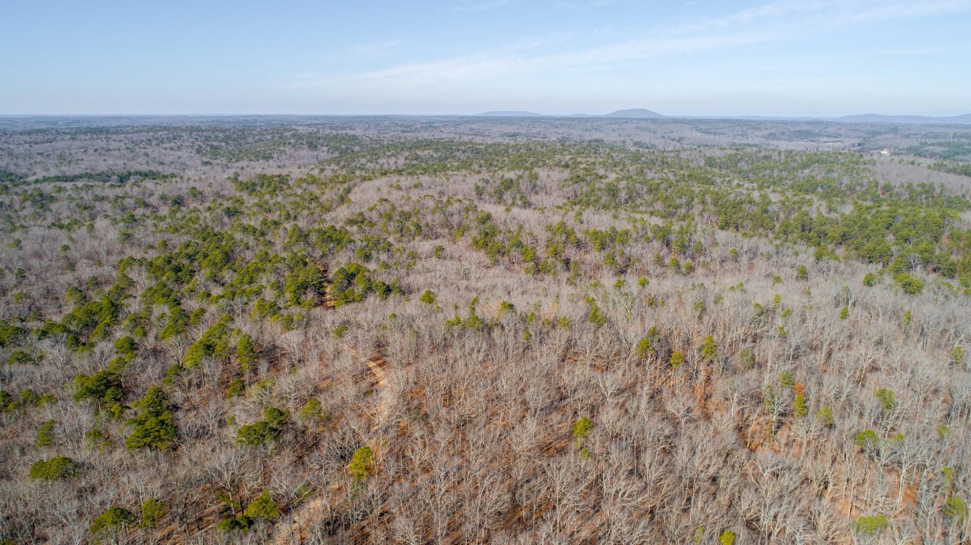 45 acres in Wayne County, Missouri