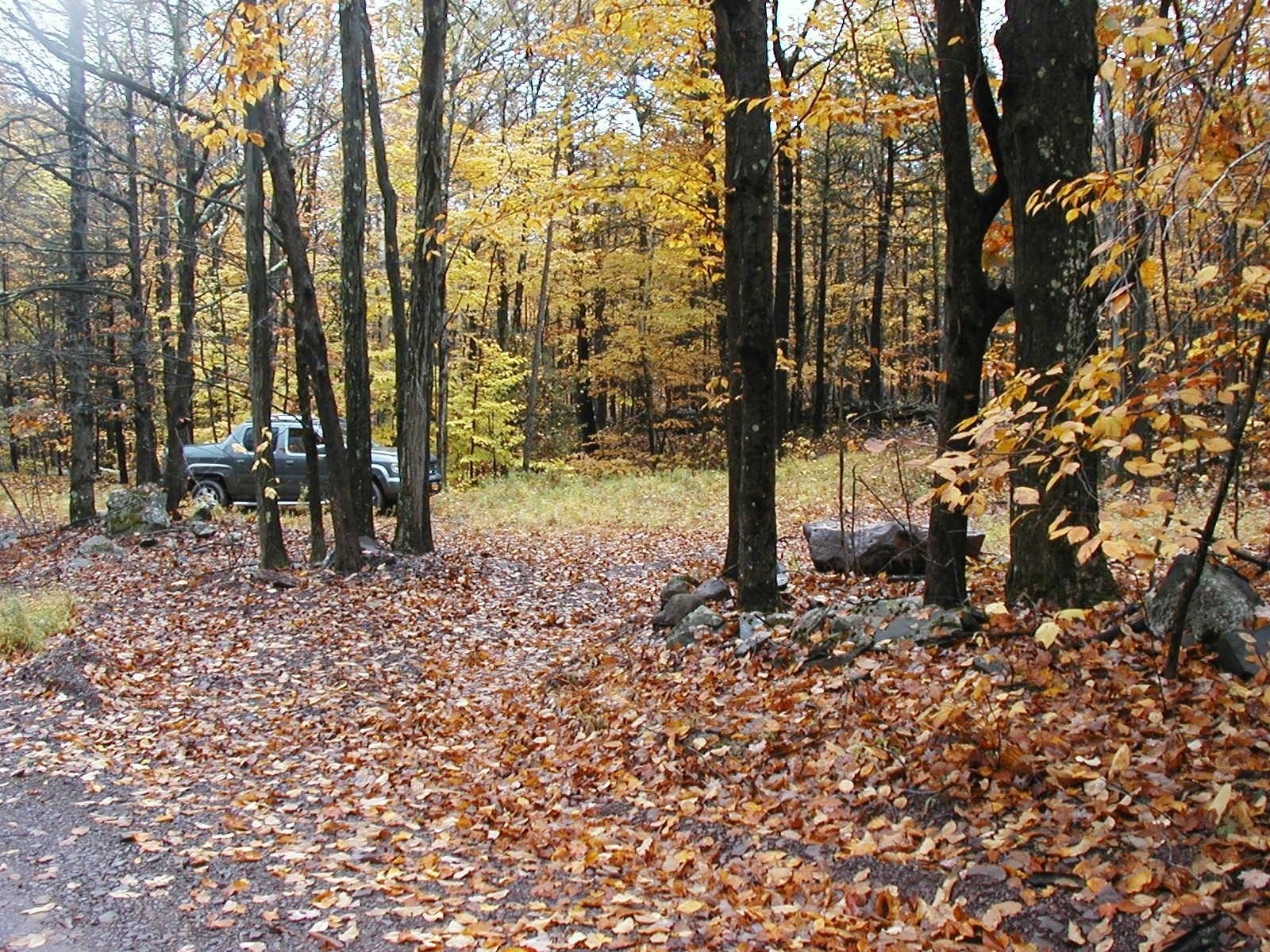 13 acres in Greene County, New York