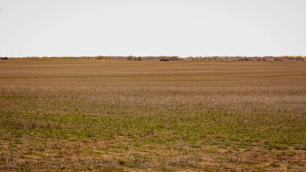 156 acres in Rooks County, Kansas