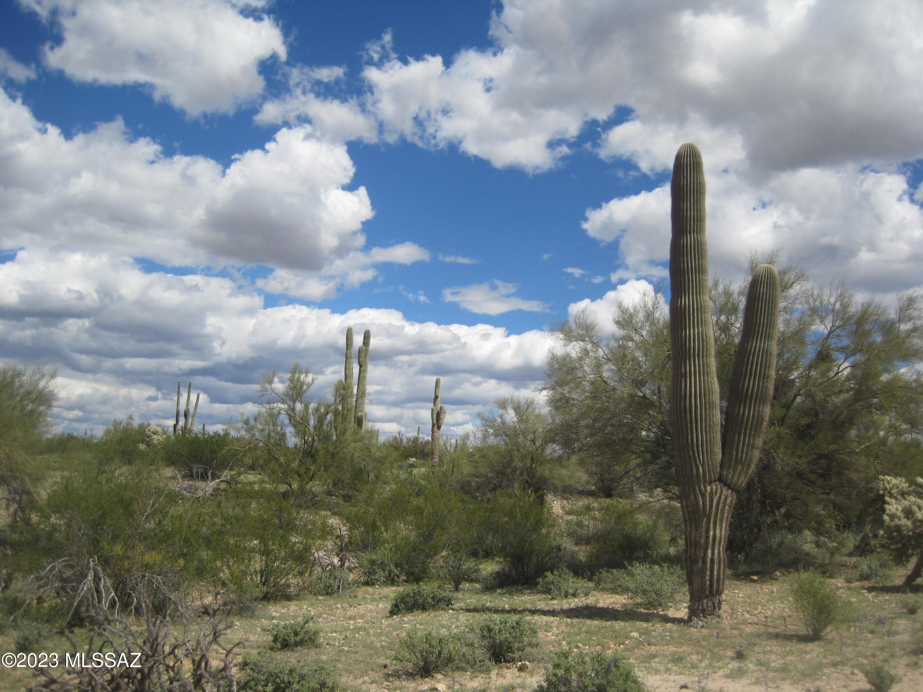 15 acres in Pinal County, Arizona