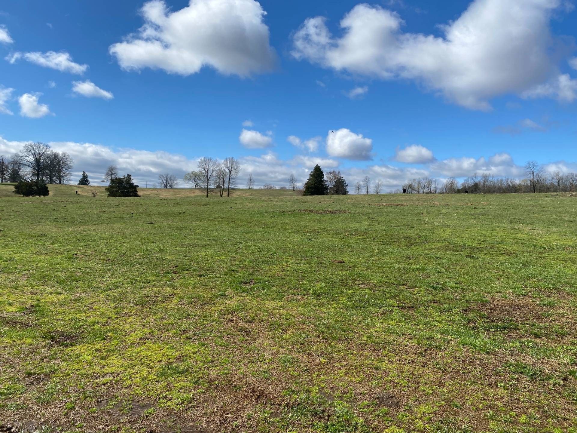 200 acres in Randolph County, Arkansas