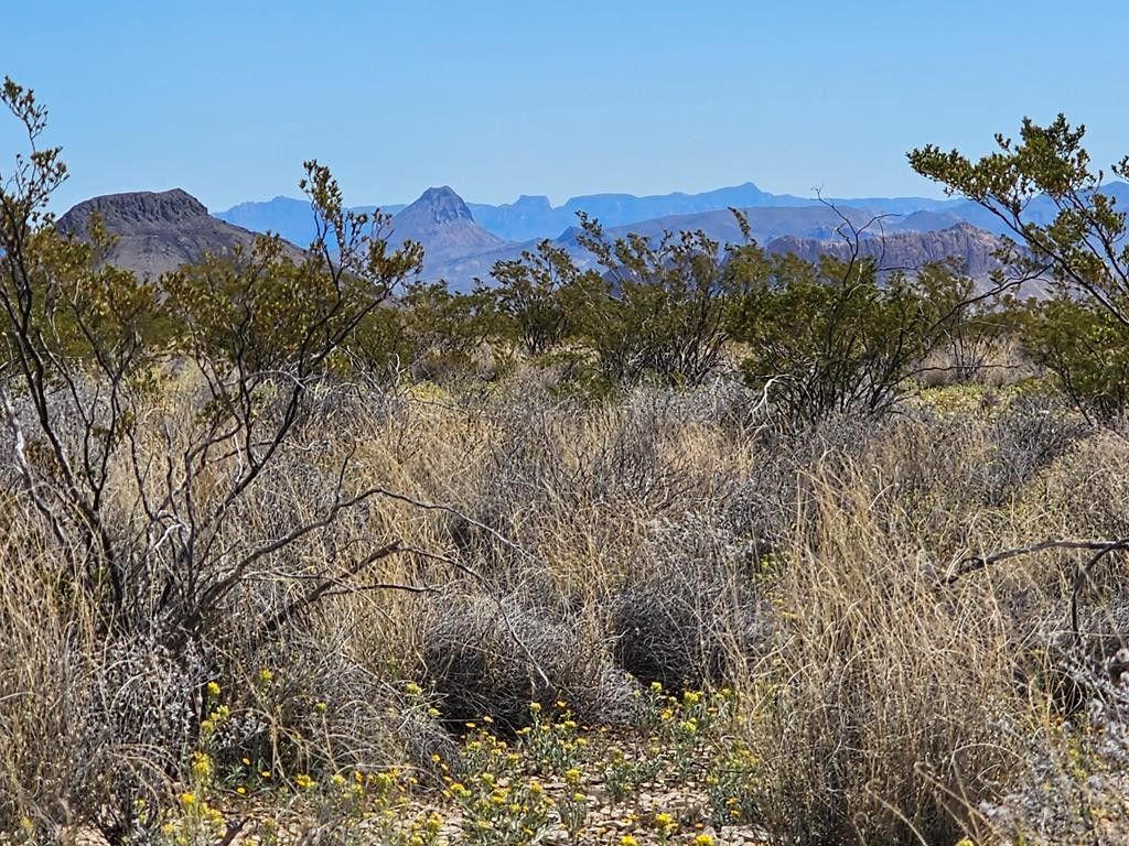 5 acres in Brewster County, Texas