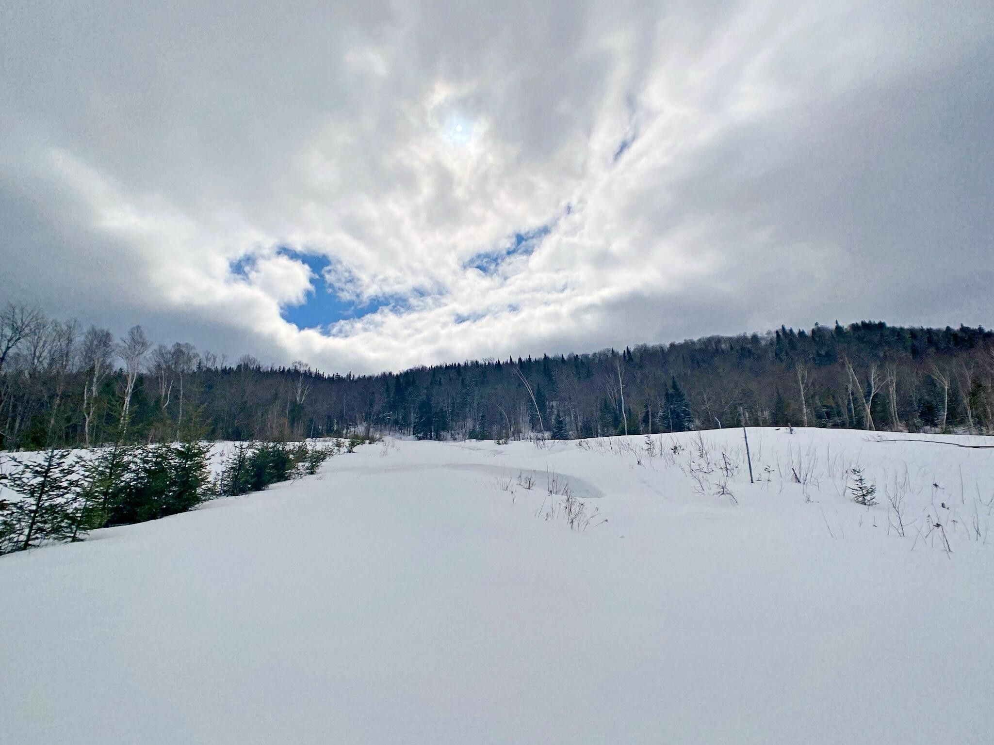 530 acres in Aroostook County, Maine