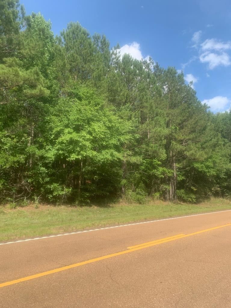 15 acres in Wilkinson County, Mississippi