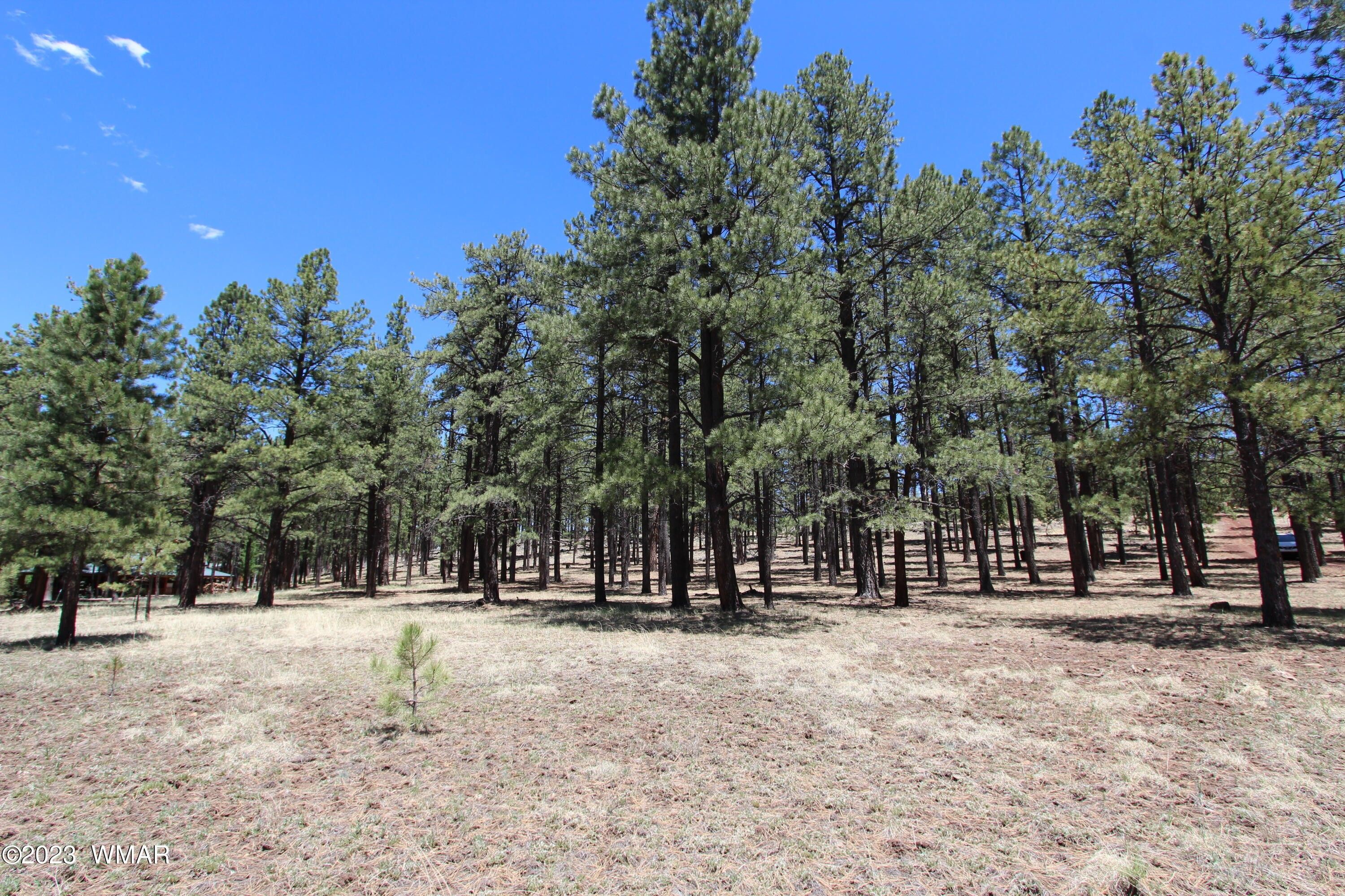 2 acres in Apache County, Arizona