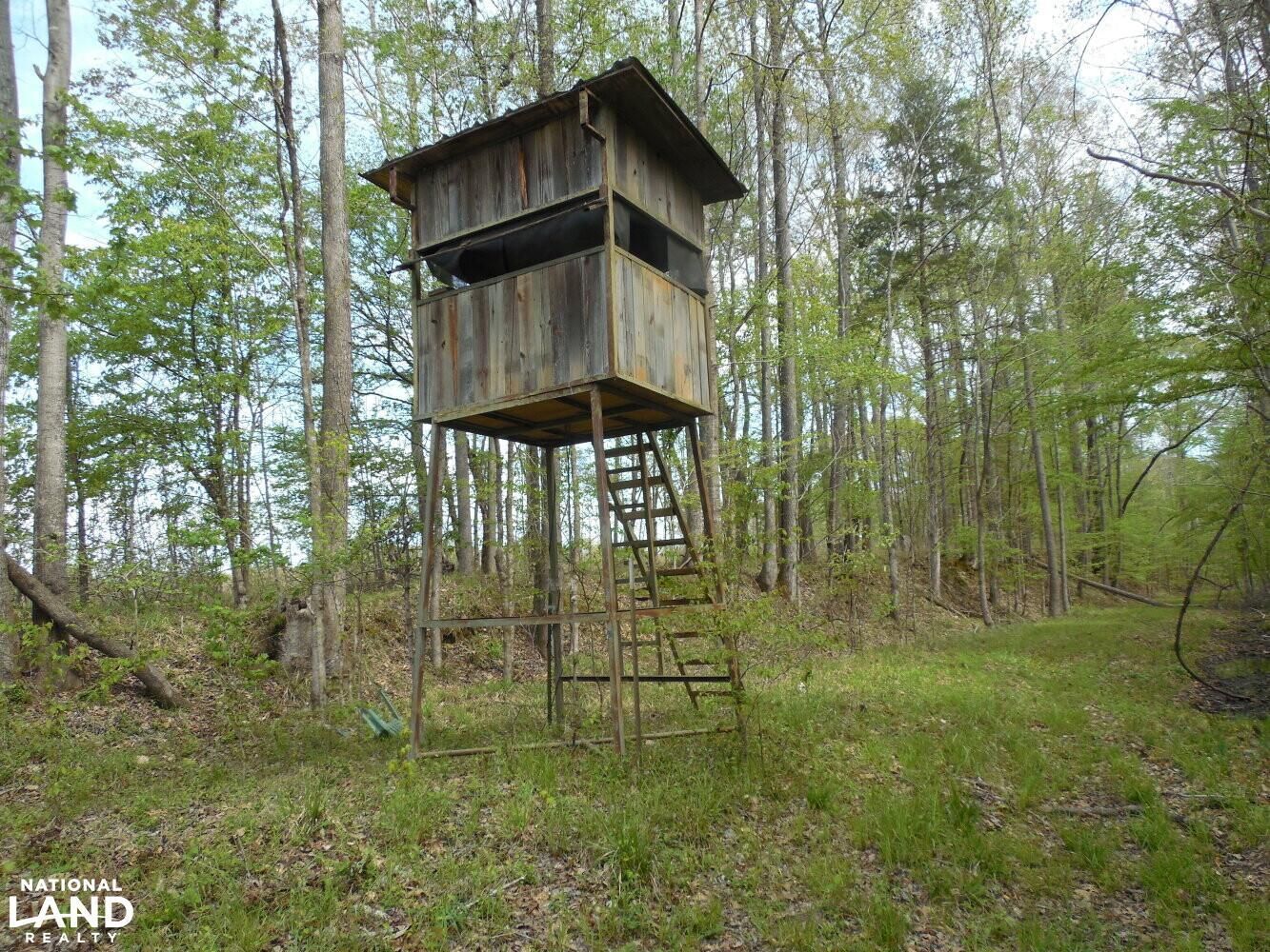 1,294 acres in Claiborne County, Mississippi