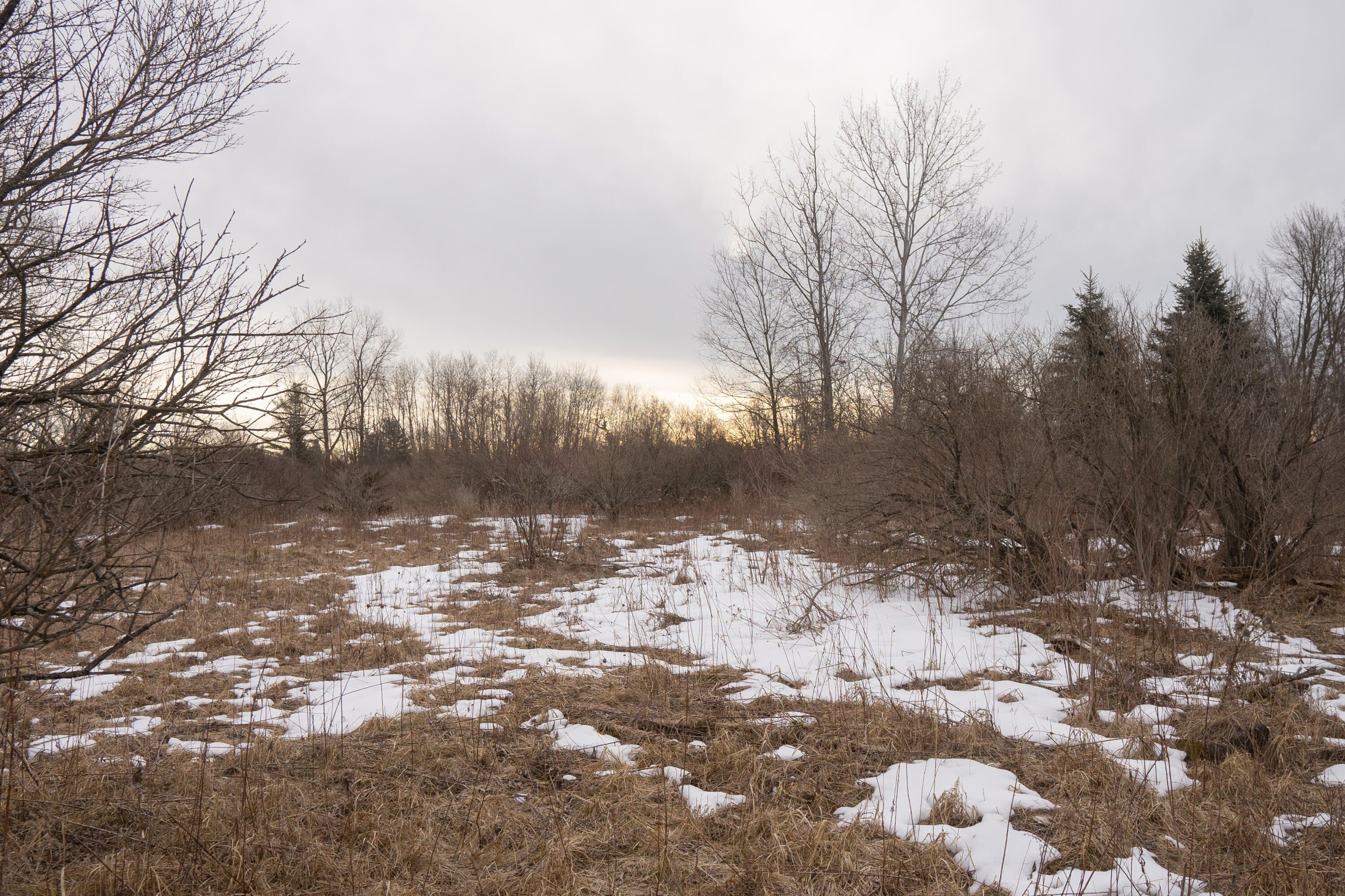 16.15 acres in Arenac County, Michigan