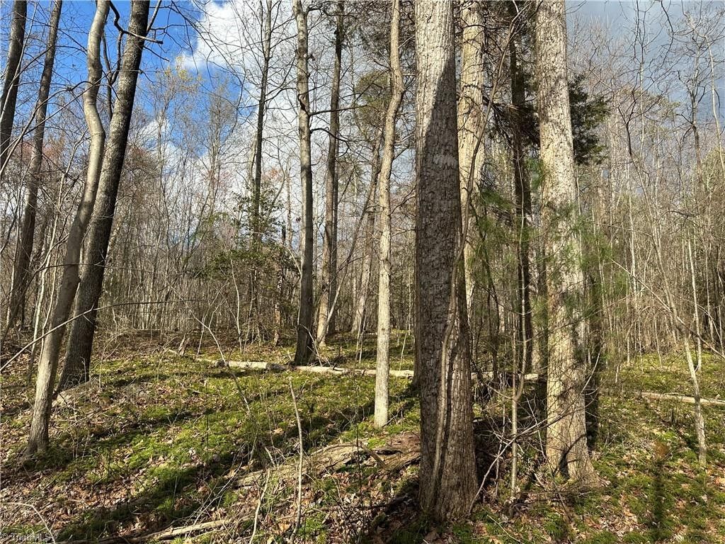 25 acres in Stokes County, North Carolina