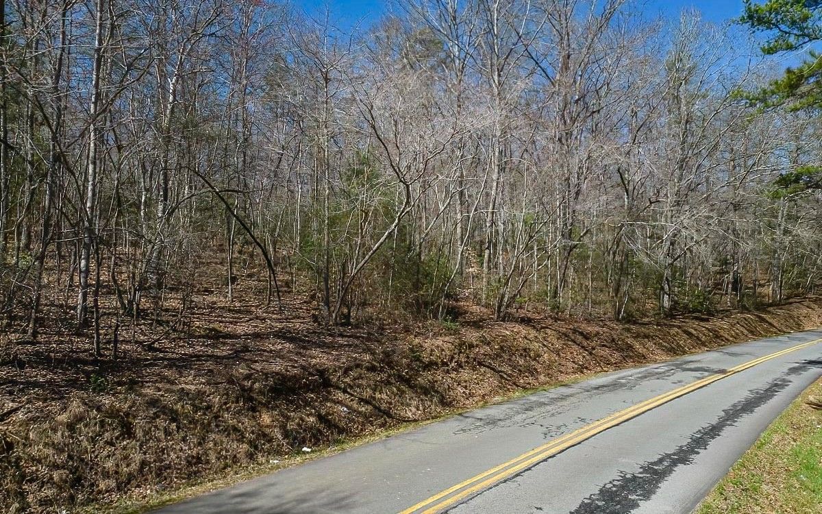 16.83 acres in Fannin County,