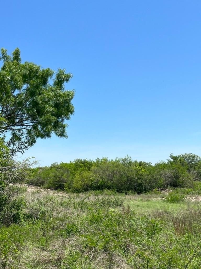 13.25 acres in Duval County, Texas