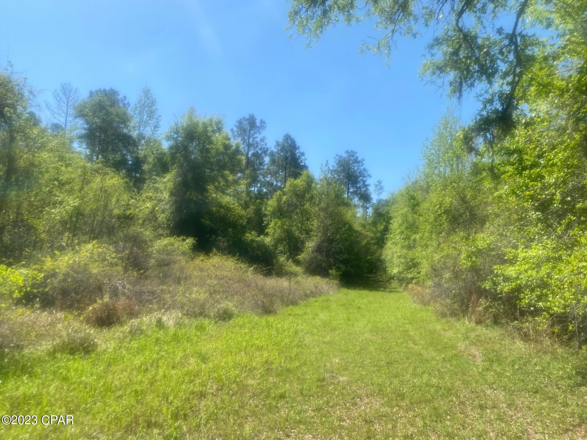 50 acres in Jackson County, Florida