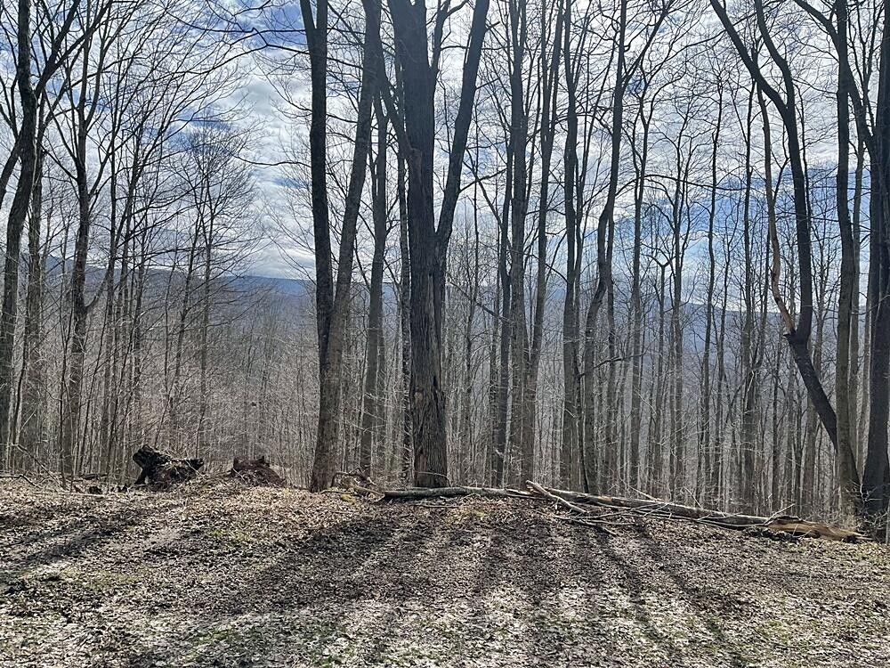 2.3 acres in Pocahontas County, West Virginia