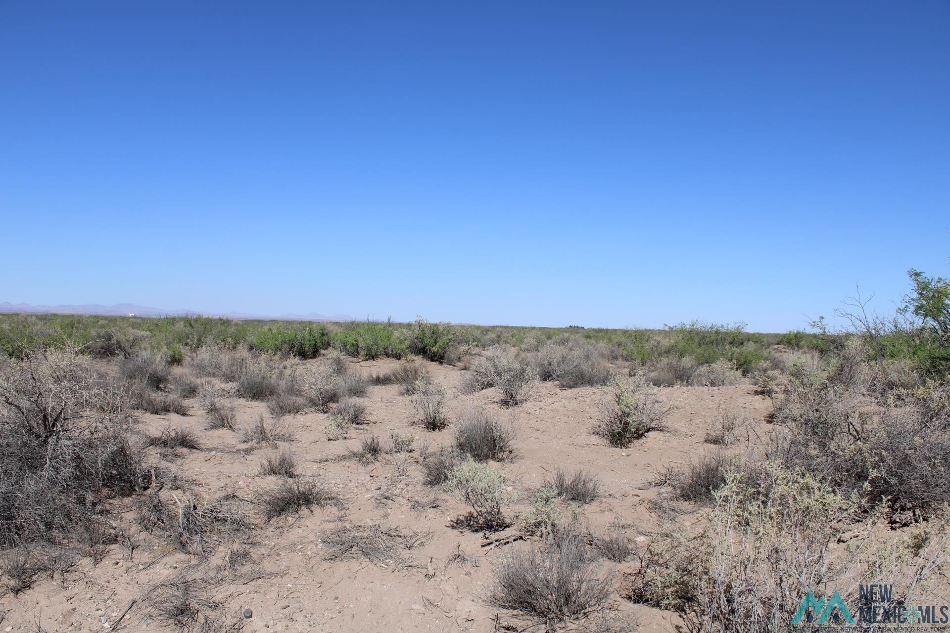 4 acres in Luna County, New Mexico