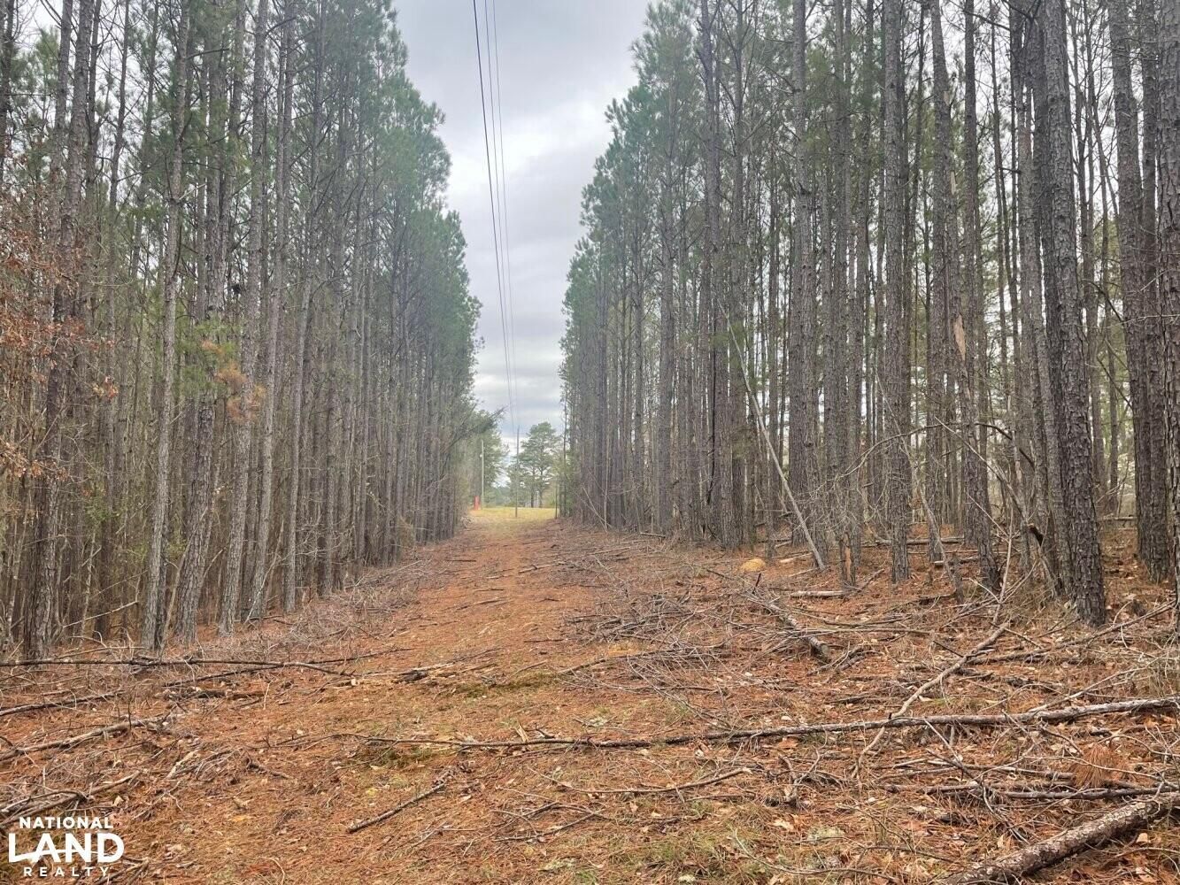 26 acres in Lamar County, Alabama