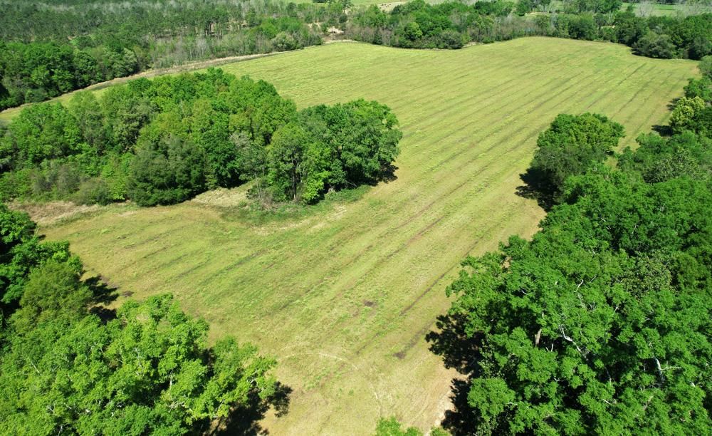 80 acres in Mobile County, Alabama