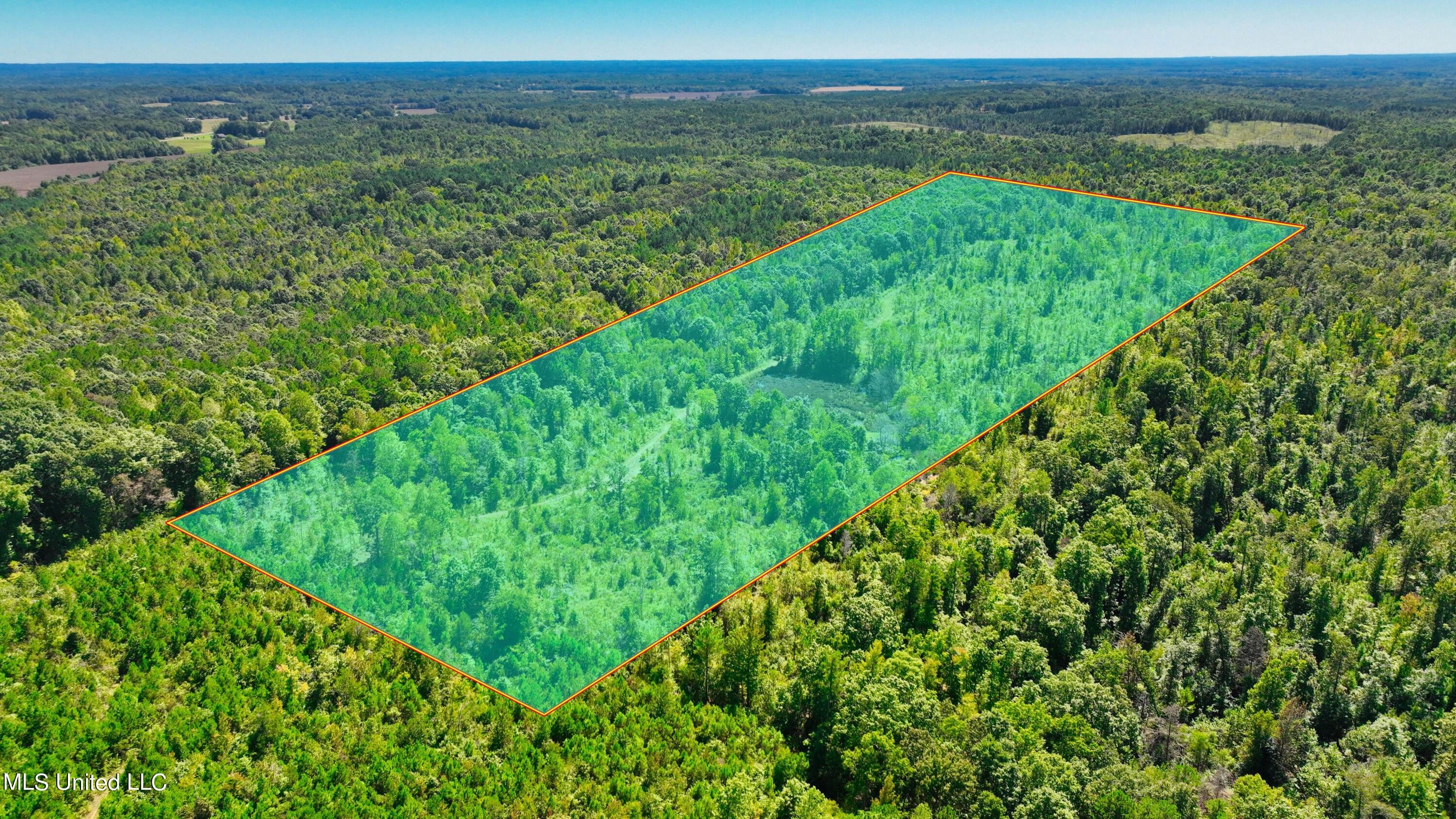 40 acres in Union County, Mississippi