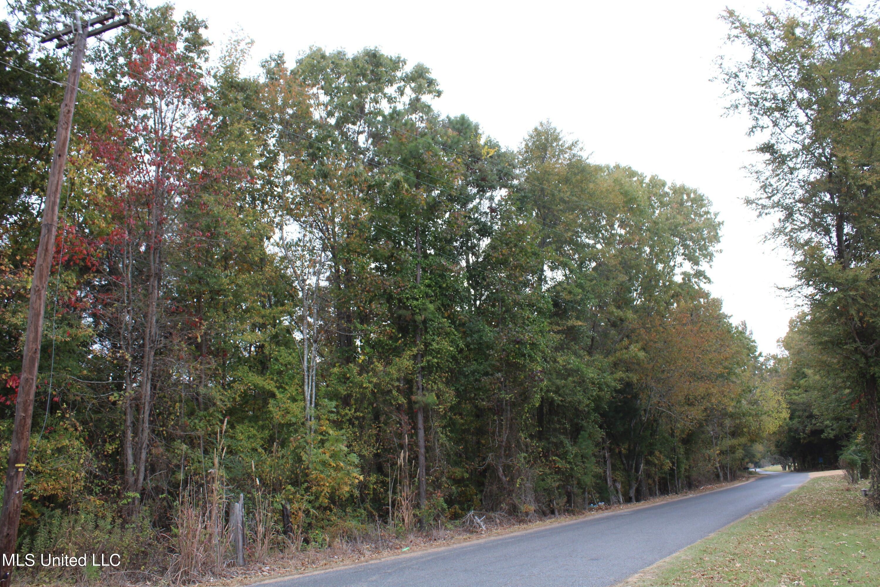 40 acres in Panola County, Mississippi