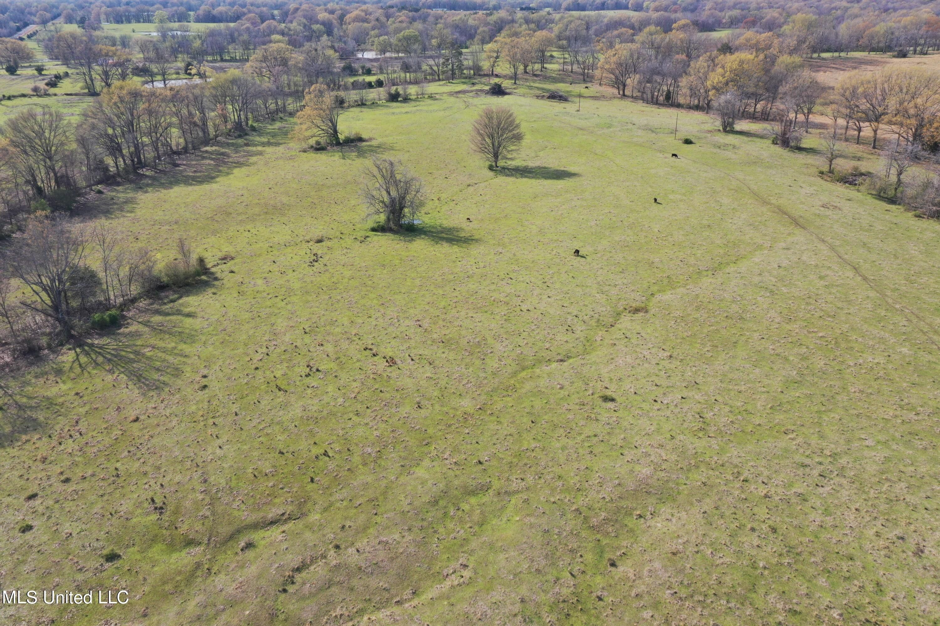 8 acres in Tate County, Mississippi