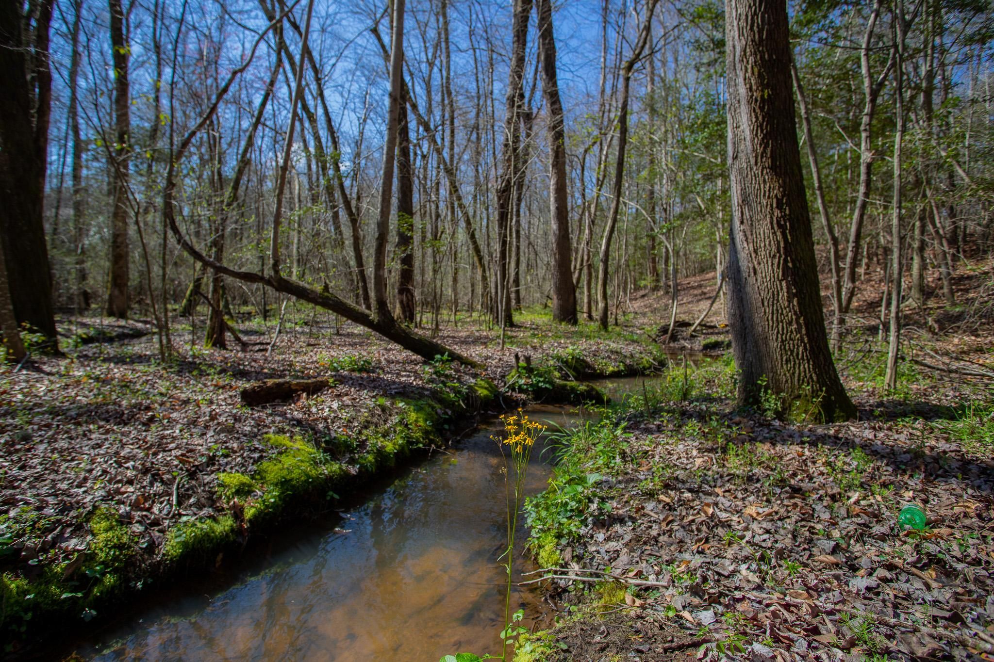 2.9 acres in James City County, Virginia