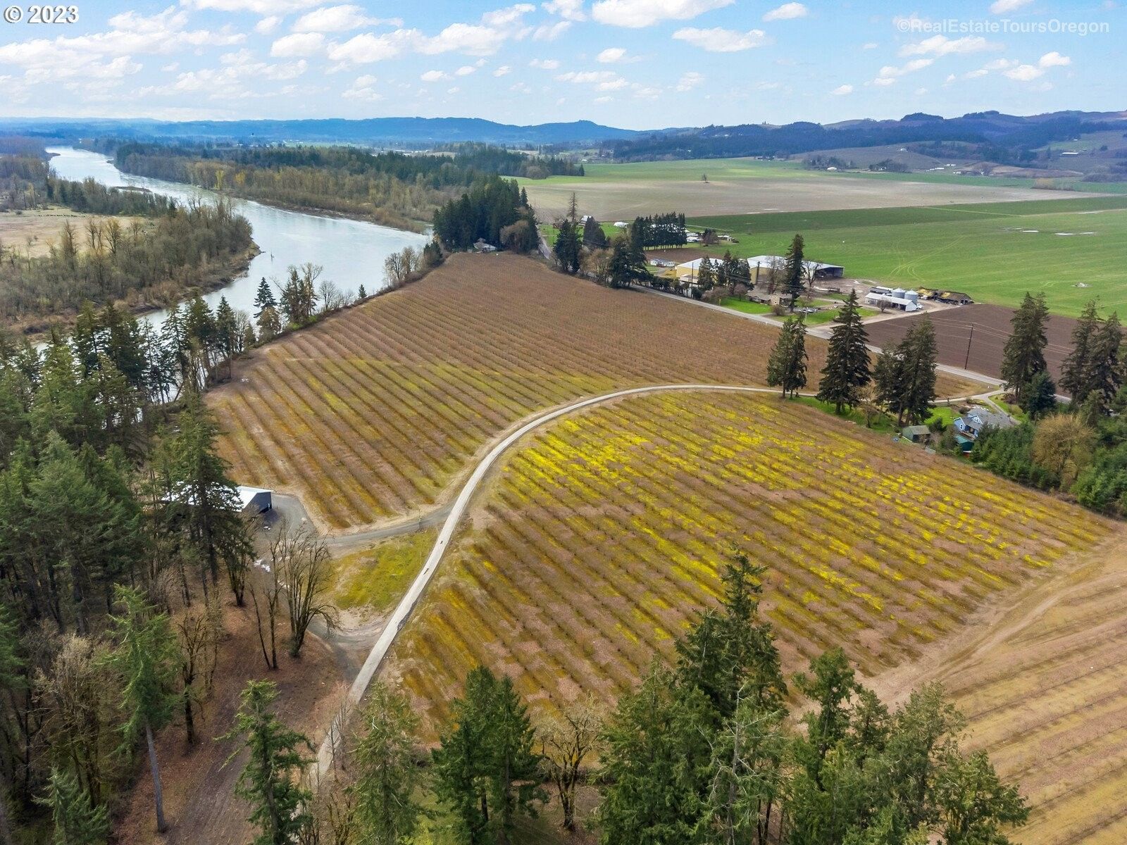 31.52 acres in Yamhill County, Oregon