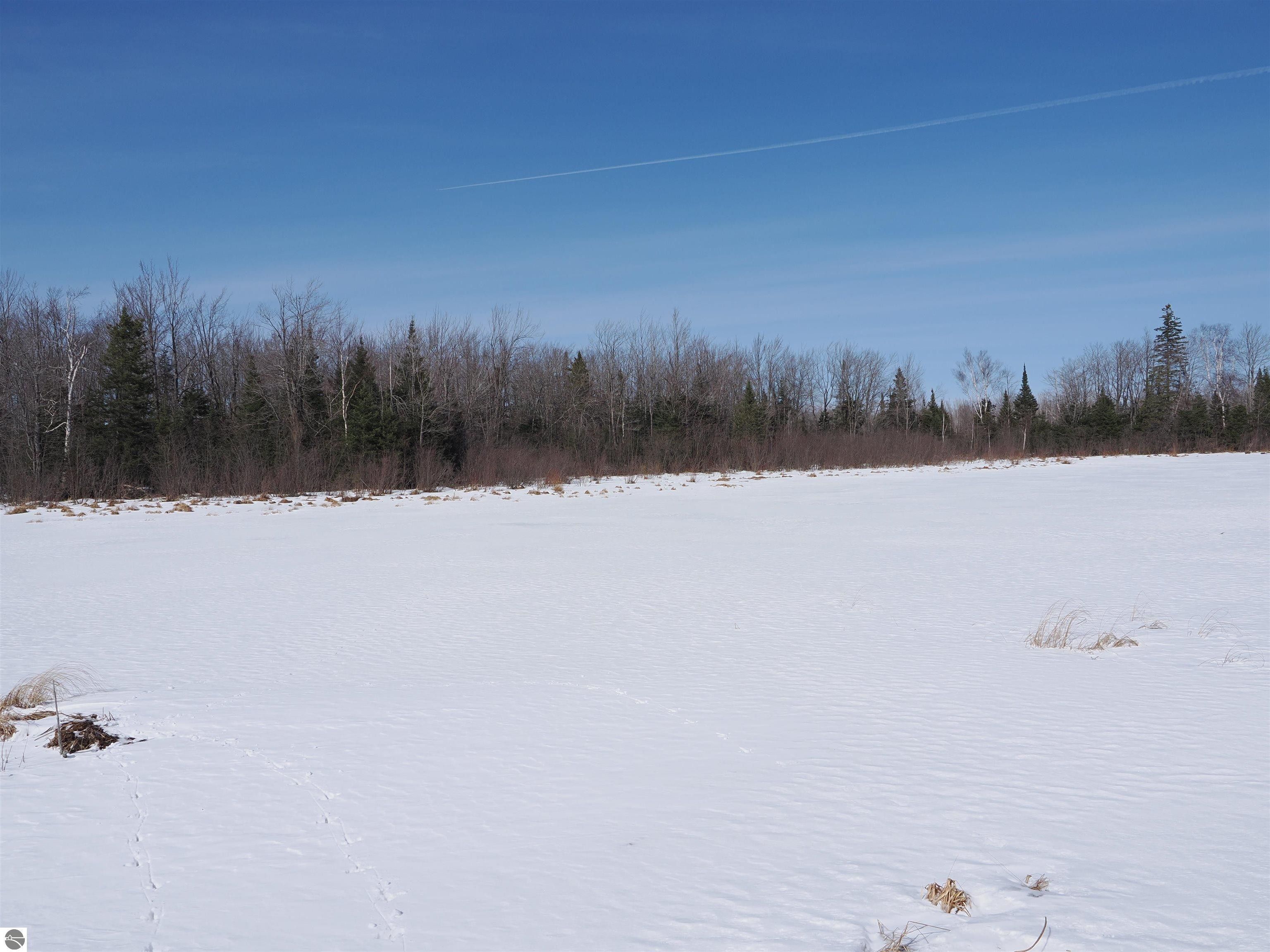 100 acres in Chippewa County, Michigan