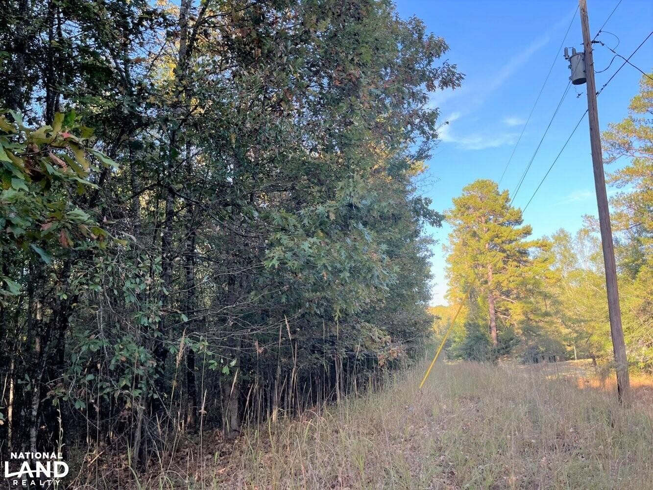 30 acres in Holmes County, Mississippi