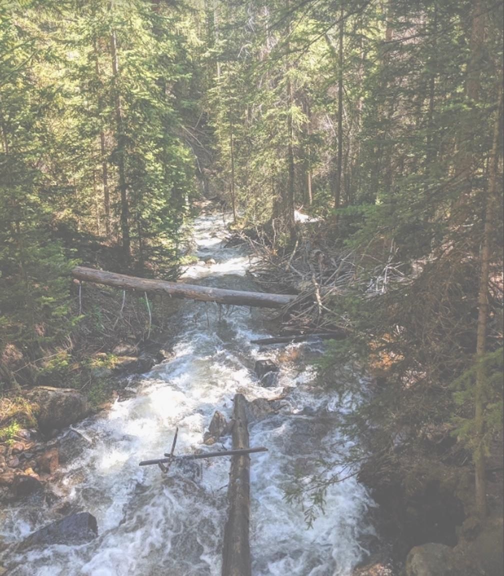 20 acres in Jackson County, Colorado